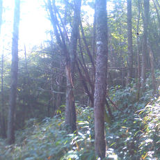 130914_p03.jpg