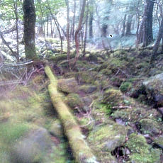130914_p07.jpg