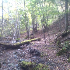141004_p23.jpg