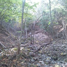 141011_p12.jpg