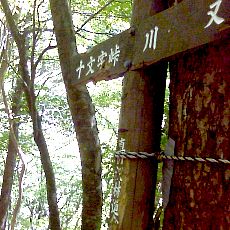160603_p01.jpg