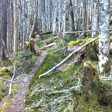 160603_p38.jpg