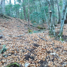 161123_p14.jpg