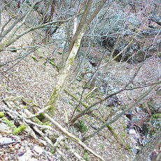 161215_p21.jpg
