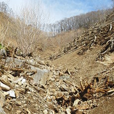 180412_p07.jpg