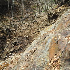 180412_p29.jpg