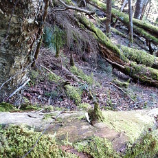 180428_p30.jpg