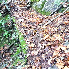 181006_p05.jpg