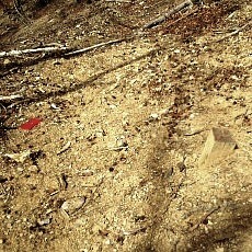 190323_p11.jpg