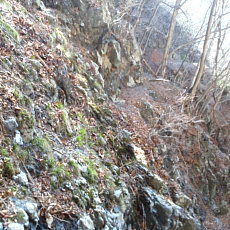 190420_p04.jpg