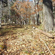 191104_p10.jpg