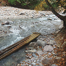 191104_p46.jpg