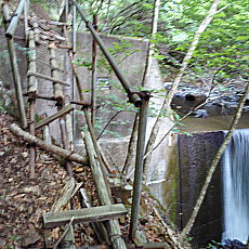 200605_p01.jpg