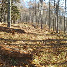 201117_p31.jpg