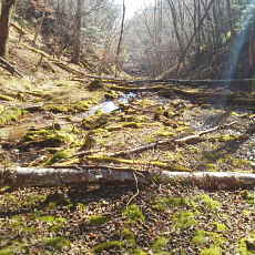 201117_p40.jpg