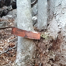 201219_p05.jpg