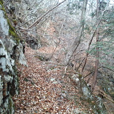 201219_p06.jpg