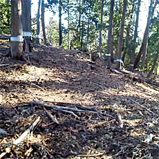 210223_p01.jpg