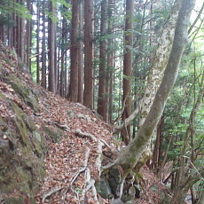 210515_p14.jpg