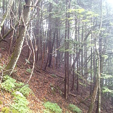 210522_p27.jpg