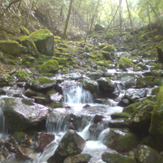 120729_p01.jpg