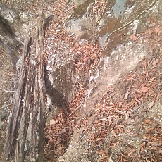 141210_p04.jpg