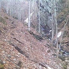 150331_p02.jpg
