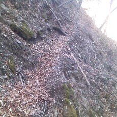 150331_p07.jpg