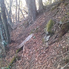 150331_p09.jpg