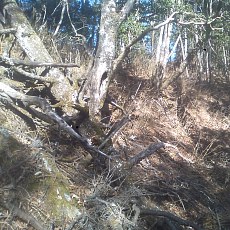 150331_p12.jpg