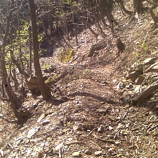 150418_p06.jpg