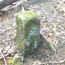 150522_p05.jpg