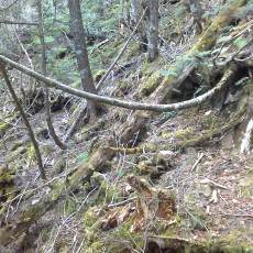 160506-02_p11.jpg