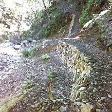 160618_p06.jpg