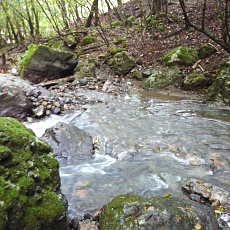 160925_p13.jpg