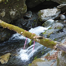170429_p03.jpg