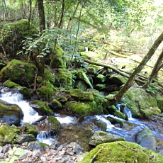 170903_p06.jpg