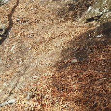 180412_p33.jpg