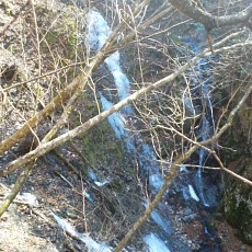 190302_p09.jpg