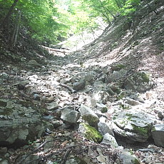 190614_p07.jpg