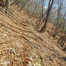 191129_p21.jpg