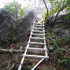 200921_p06.jpg