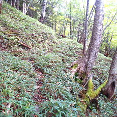 201004_p43.jpg