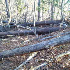 201206_p10.jpg