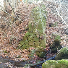 201206_p58.jpg