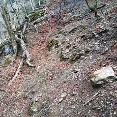 220416_p14.jpg