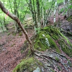 220515_p02.jpg