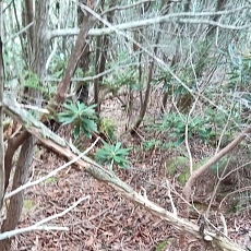 220618_p29.jpg