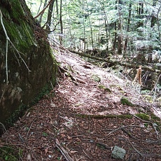220528_p32.jpg