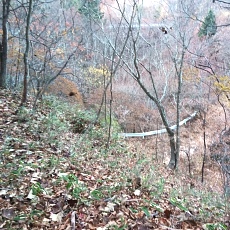 221112_p03.jpg